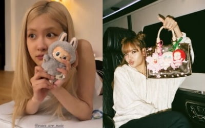 블랙핑크·베컴도 샀다 '입소문'…돈 쓸어담더니 '잭팟'