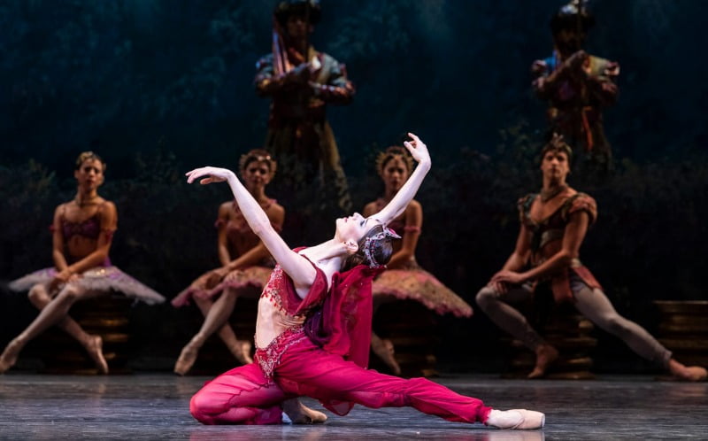 <라 바야데르> 2막 니키아 솔로, dance by Marianela Núñez, photo by Foteini Christofilopoulou / 출처. The Royal Ballet
