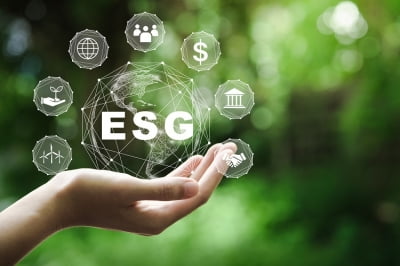 '반(反) ESG' 흐름에…돌고돌아 탄소기업 채권 흥행