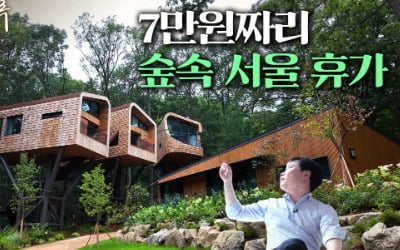 7만원짜리 숲속 서울 휴가…요즘 가장 핫한 수락휴 | 총총견문록