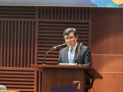 與안도걸 "스테이블코인 법안 내주 발의"…통화·외환 파장도 예의주시