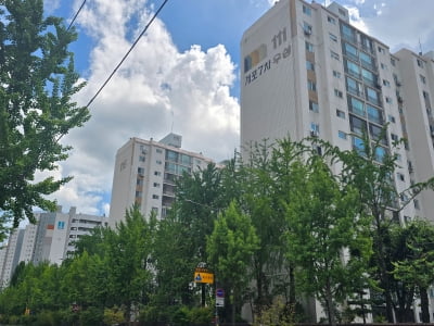 '래미안'이냐 '써밋'이냐…개포우성7차 입찰제안서 들여다보니