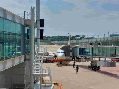 인천국제공항, 중단됐던 국내선 게이트 8곳 국제선으로 재가동