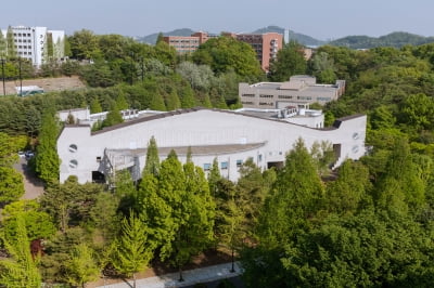"추락 직전 기장 표정 묘사"…미대 실기대회 문제에 '경악'