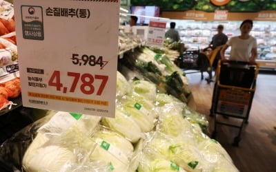 배추에도 사계절이 있다…7월이면 급등하는 배추가격, 왜? [이광식의 한입물가]