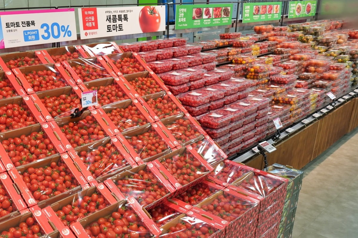 롯데마트 제타플렉스 서울역점 토마토 매대 전경 / 사진=롯데마트 제공