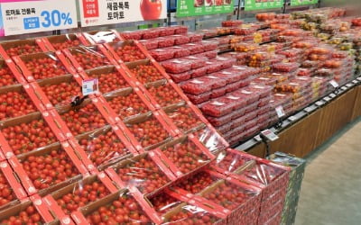 소비쿠폰으로 토마토 쟁여둬야겠네…지금 사야하는 이유