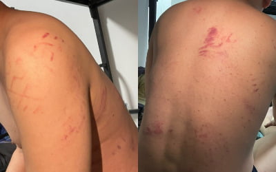 한국인 200명 넘게 당했다…캄보디아 창고서 무슨 일이