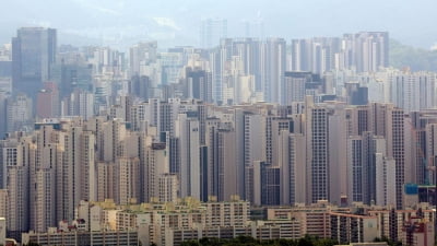 강남 현금 부자들은 달랐다…대출 조여도 '33억 신고가'