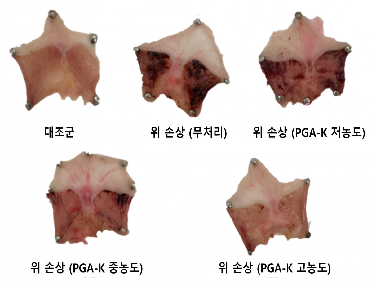 https://img.hankyung.com/photo/202507/01.41274480.1.jpg