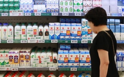 내년에 대형 악재 터지는데…"우유가 안 팔려요" 초비상