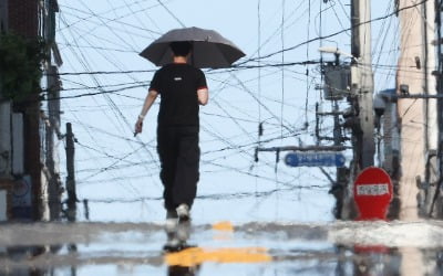 '최고 34도' 삼복더위 온다…폭염에 소나기