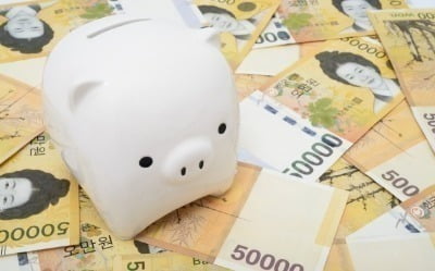 '4050 공격투자 남성' 퇴직연금, 10년 수익률 290% 대박