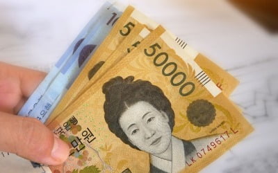 "초보자도 돈 벌 수 있다" 떠들썩…요즘 뜨는 투자법