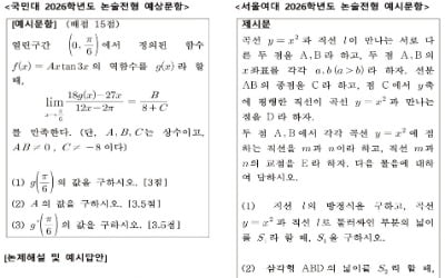  모의논술 또는 예시문항…논술 대비의 첫단추