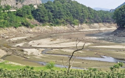 마른 장마에 저수율 33%…바닥 드러낸 오봉저수지