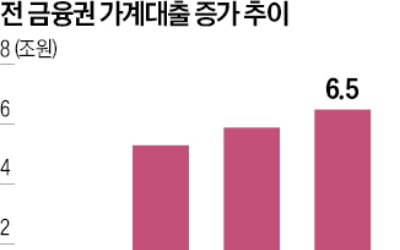 "P2P·대부업 주담대 풍선효과 점검"