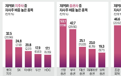 의무 소각 초읽기에…저평가 '자사주 부자株' 날았다