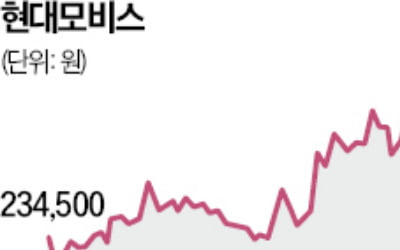 美 관세에 웃는 '현대차 삼형제'