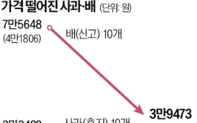 '고공행진' 과일값 진정…배, 1년전보다 47% 급락