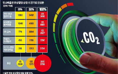 탄소배출 유상할당 50%땐…제조업 최소 5조 추가 부담