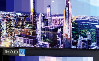 2600억 으뜸가전 환급사업…中 LCD는 되는데, 韓 OLED TV 안돼