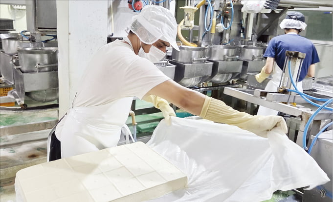 경기도 고양시의 한 콩가공식품 제조업체에서 직원이 두부를 생산하고 있다.  이정선 선임기자 