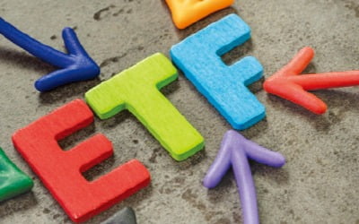 소수종목에 압축 투자…'집중형 ETF' 뜬다
