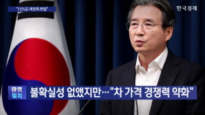 불확실성 없앴지만…"차 가격 경쟁력 약화"