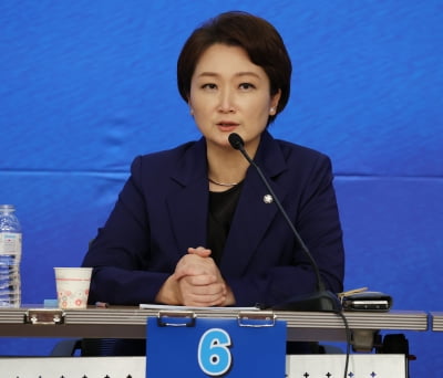 "외국인, 허가받고 국내 부동산 취득해야"…이언주, 개정안 발의
