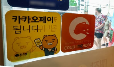 스테이블코인 덕에 날아오른 카카오페이
