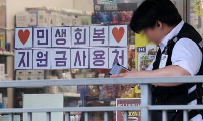 난민 등 외국인도  받는다...내일부터 소비쿠폰 신청