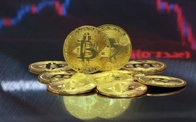 "노후 대비로 10년간 투자했더니…" 수익률 5000% '대반전' [일확연금 노후부자]