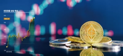 "월가, 한 달 새 10조원 싹쓸이" 이더리움 갑자기 왜 올랐을까[비트코인 A to Z]
