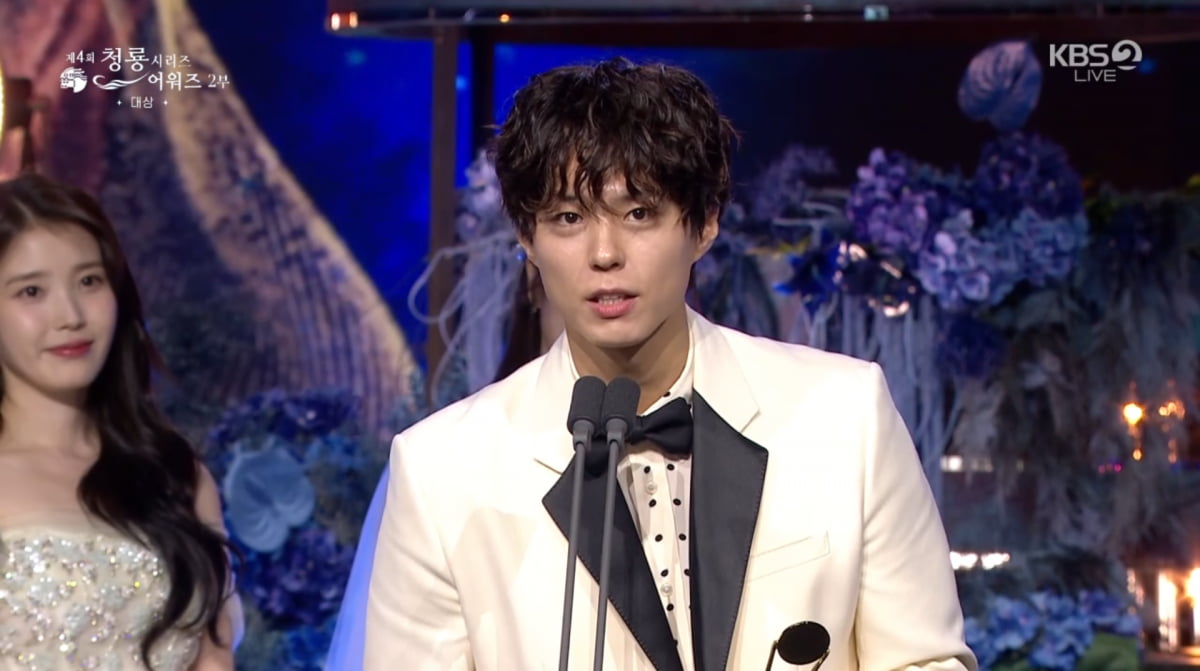 'A Time Called You' Triumphs at Blue Dragon Series Awards with Three Major Wins