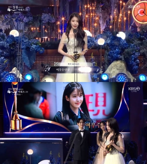 IU Wins Best Actress at the Blue Dragon Series Awards for 'You Have Done Well'