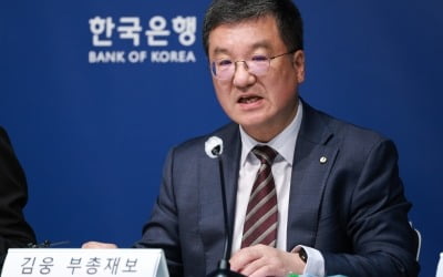 한은 "물가상승률 높아진 건 기저효과 탓…생활물가 흐름 주시"