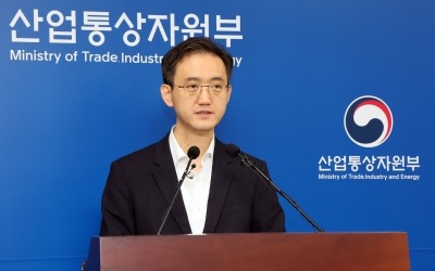 상반기 FDI 전년대비 -14%, 도착기준은 소폭 늘어 "탄핵 사태에도 선방"