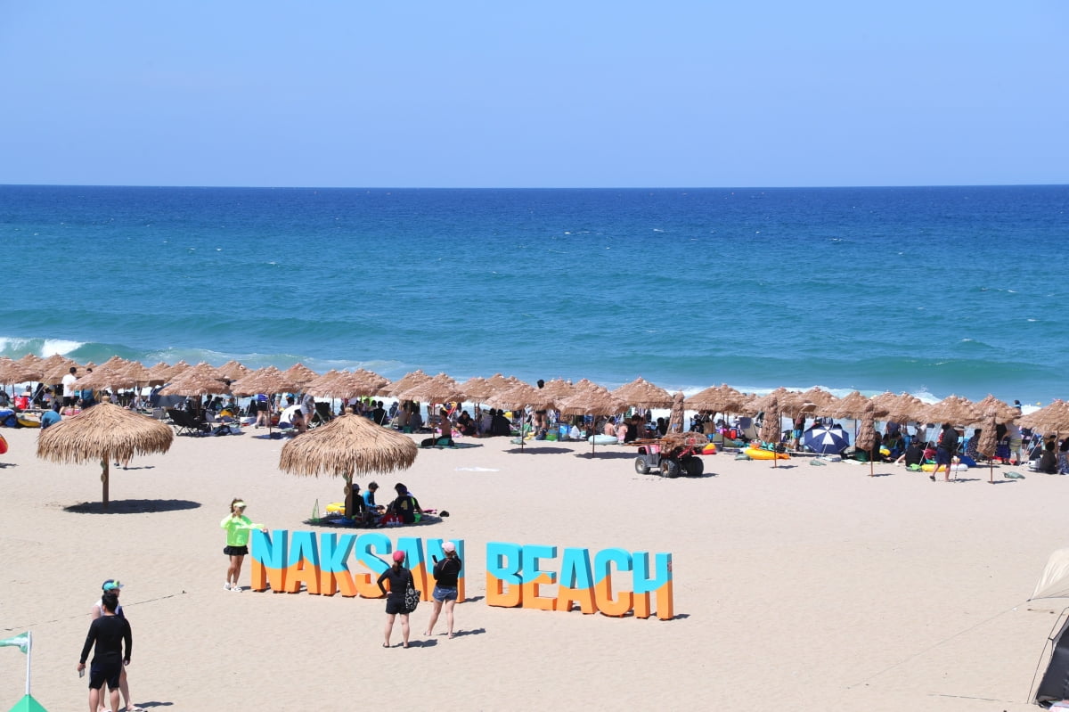  강원 양양 낙산해수욕장에서 피서객들이 무더위를 식히고 있다. 사진=연합뉴스