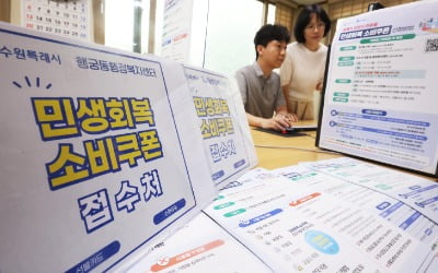 소비쿠폰 21일부터 신청 시작…백화점 안되고 다이소 된다