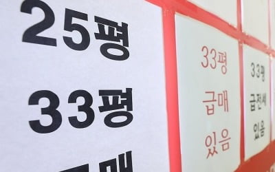 대출규제 약발 본격화하나…서울 거래량·거래금액 65% 이상↓