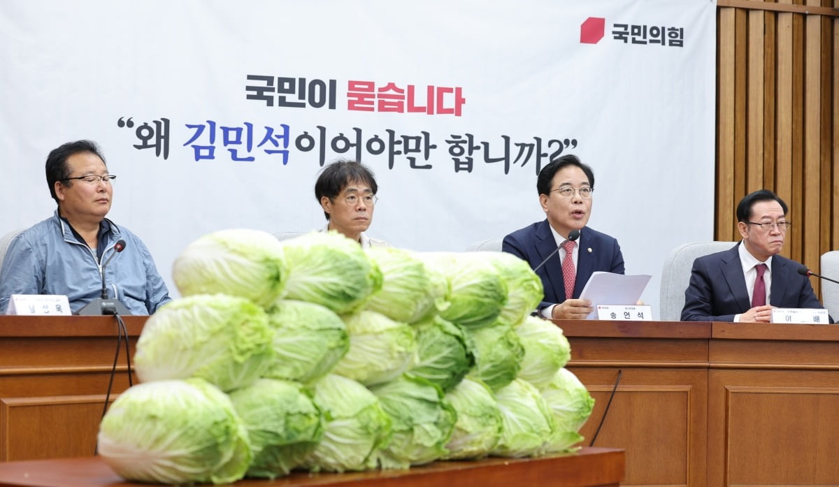 송언석 국민의힘 원내대표가 6월 30일 오전 서울 여의도 국회에서 열린 김민석 국무총리 후보자 국민청문회에서 발언하고 있다. 사진=뉴스1