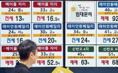 '6억 대출 제한' 다음 대책 주목…'한강 벨트' 토허제 거론