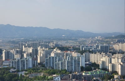 "마피 6000만원에도 팔렸대"…전국 유일 '미분양 무덤'서 벌어진 일