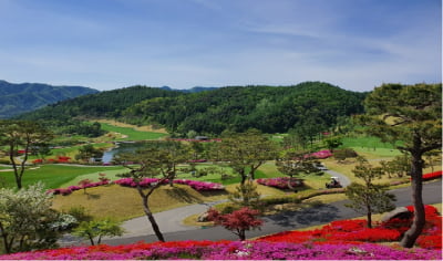 [단독]'수도권 인근' 파가니카CC, 비피자산운용 품으로