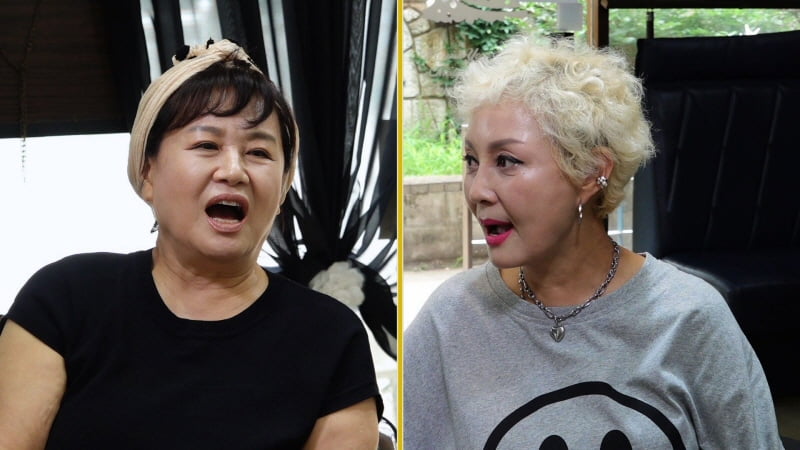 박원숙, 방송 노출해 집값 올렸다?…