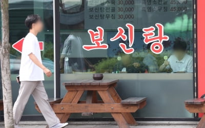 '김건희 법' 개 식용 막겠다더니…수천억 퍼부었는데 결국