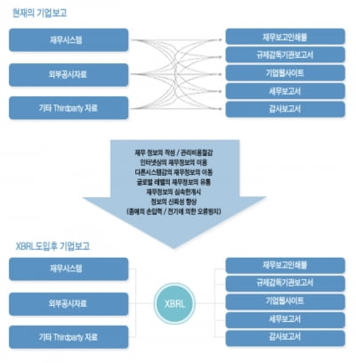“자동화는커녕 손으로 뜯어봐야”, XBRL 데이터 무용지물 되나 [XBRL 공시의 민낯②]