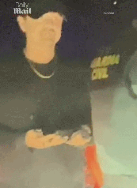 /사진=데일리메일 영상 캡처