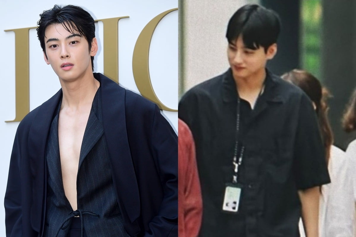 차은우 동생 화제